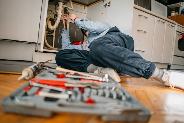 Best Affordable Plumbing Services  in Mehlville, MO
