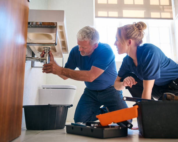 Best Sprinkler Systems  in Mehlville, MO